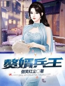 贅婿兵王